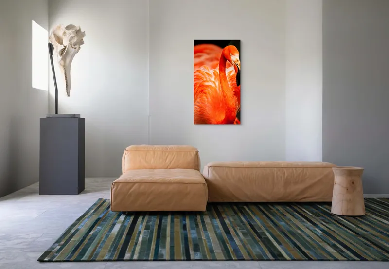 Tablou Canvas, "Grandoarea flamingoului în culori vii", Pene, Portocaliu, Flamingo, Vibrant, Elegant, Grațios, Contrast, Fauna, Natură, Frumusețe, 50 x 90 cm – poza 5