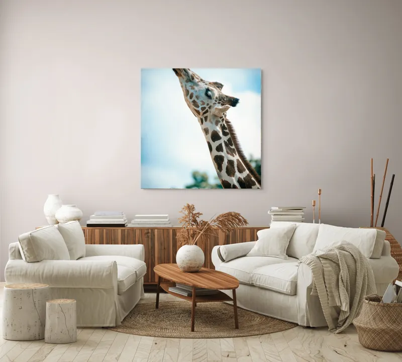 Tablou Canvas, "Girafă admirând cerul albastru", Gingășie, Eleganță, Înălțime, Majestuos, Serenitate, Natură, Cer, Pătățat, 100 x 100 cm – poza 3