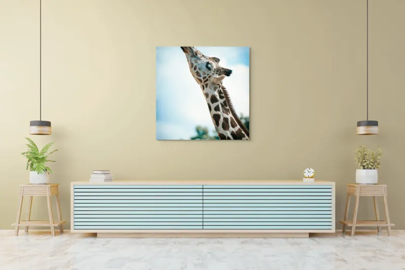 Tablou Canvas, "Girafă admirând cerul albastru", Gingășie, Eleganță, Înălțime, Majestuos, Serenitate, Natură, Cer, Pătățat, 100 x 100 cm – poza 5