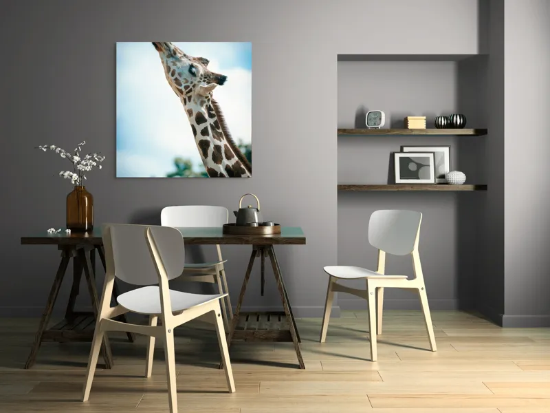 Tablou Canvas, "Girafă admirând cerul albastru", Gingășie, Eleganță, Înălțime, Majestuos, Serenitate, Natură, Cer, Pătățat, 100 x 100 cm – poza 6