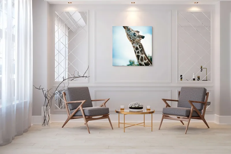 Tablou Canvas, "Girafă admirând cerul albastru", Gingășie, Eleganță, Înălțime, Majestuos, Serenitate, Natură, Cer, Pătățat, 100 x 100 cm – poza 7