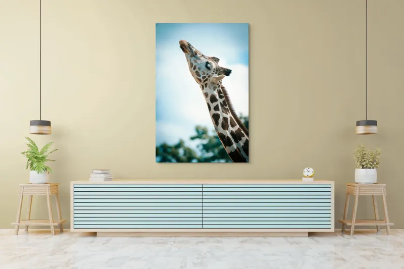 Tablou Canvas, "Girafă admirând cerul albastru", Gingășie, Eleganță, Înălțime, Majestuos, Serenitate, Natură, Cer, Pătățat, 100 x 150 cm – poza 4
