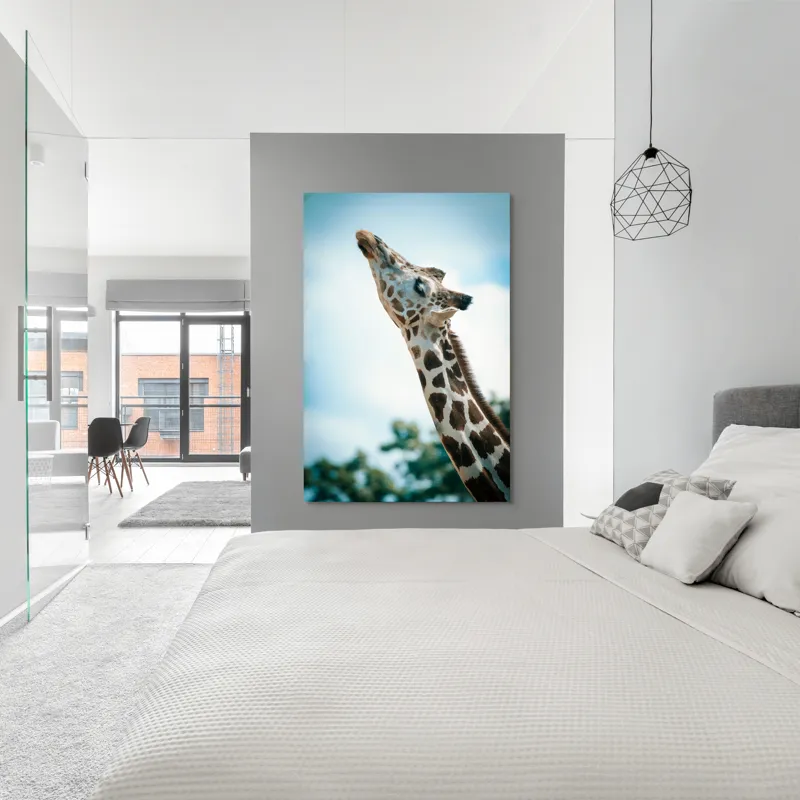 Tablou Canvas, "Girafă admirând cerul albastru", Gingășie, Eleganță, Înălțime, Majestuos, Serenitate, Natură, Cer, Pătățat, 100 x 150 cm – poza 5