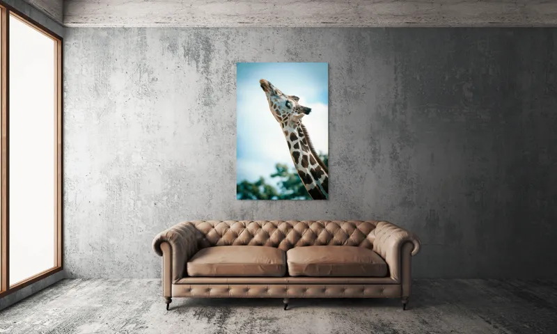 Tablou Canvas, "Girafă admirând cerul albastru", Gingășie, Eleganță, Înălțime, Majestuos, Serenitate, Natură, Cer, Pătățat, 100 x 150 cm – poza 6