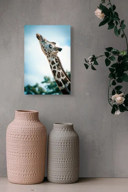 Tablou Canvas, "Girafă admirând cerul albastru", Gingășie, Eleganță, Înălțime, Majestuos, Serenitate, Natură, Cer, Pătățat, 26 x 39 cm – poza 6