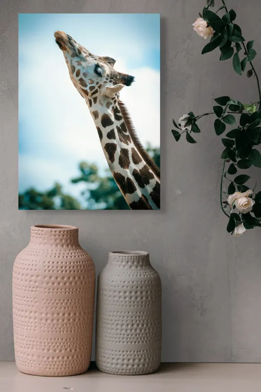Tablou Canvas, "Girafă admirând cerul albastru", Gingășie, Eleganță, Înălțime, Majestuos, Serenitate, Natură, Cer, Pătățat, 39 x 54 cm – poza 6