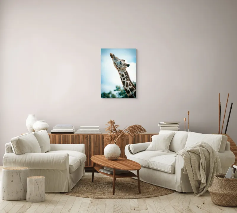 Tablou Canvas, "Girafă admirând cerul albastru", Gingășie, Eleganță, Înălțime, Majestuos, Serenitate, Natură, Cer, Pătățat, 50 x 70 cm – poza 4