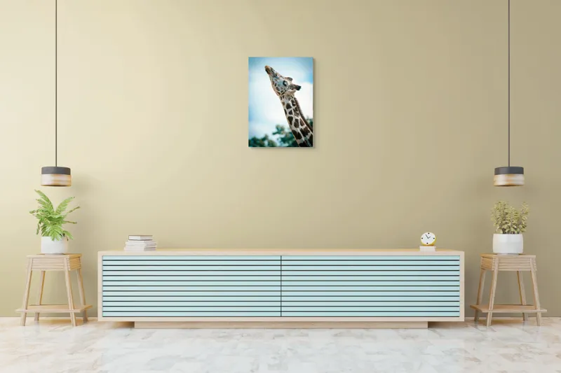 Tablou Canvas, "Girafă admirând cerul albastru", Gingășie, Eleganță, Înălțime, Majestuos, Serenitate, Natură, Cer, Pătățat, 50 x 70 cm – poza 6