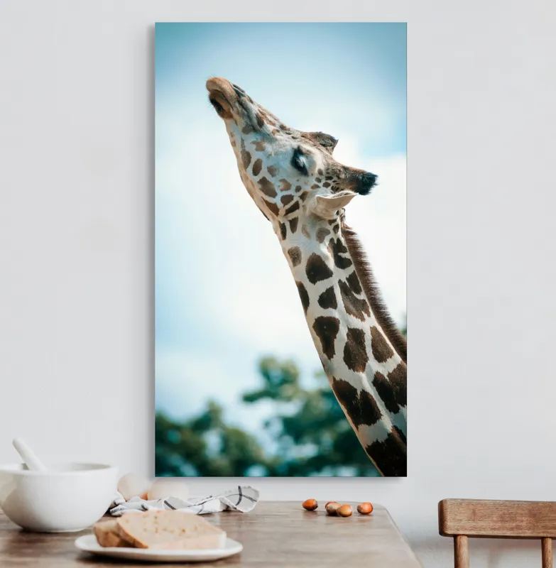 Tablou Canvas, "Girafă admirând cerul albastru", Gingășie, Eleganță, Înălțime, Majestuos, Serenitate, Natură, Cer, Pătățat, 50 x 90 cm – poza 3