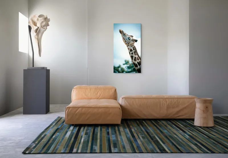 Tablou Canvas, "Girafă admirând cerul albastru", Gingășie, Eleganță, Înălțime, Majestuos, Serenitate, Natură, Cer, Pătățat, 50 x 90 cm – poza 5