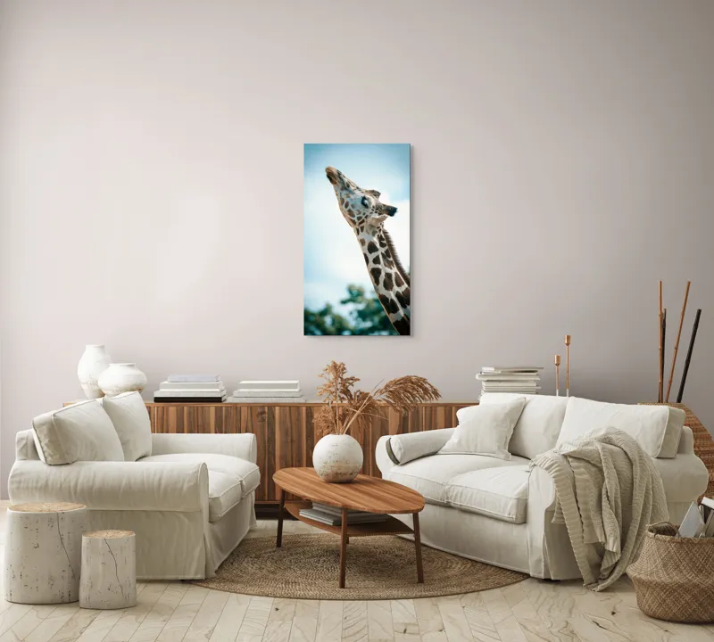 Tablou Canvas, "Girafă admirând cerul albastru", Gingășie, Eleganță, Înălțime, Majestuos, Serenitate, Natură, Cer, Pătățat, 50 x 90 cm – poza 7