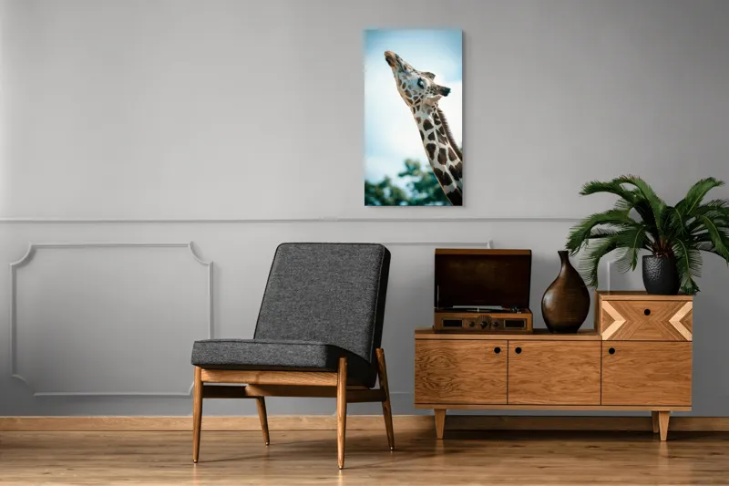 Tablou Canvas, "Girafă admirând cerul albastru", Gingășie, Eleganță, Înălțime, Majestuos, Serenitate, Natură, Cer, Pătățat, 50 x 90 cm – poza 8
