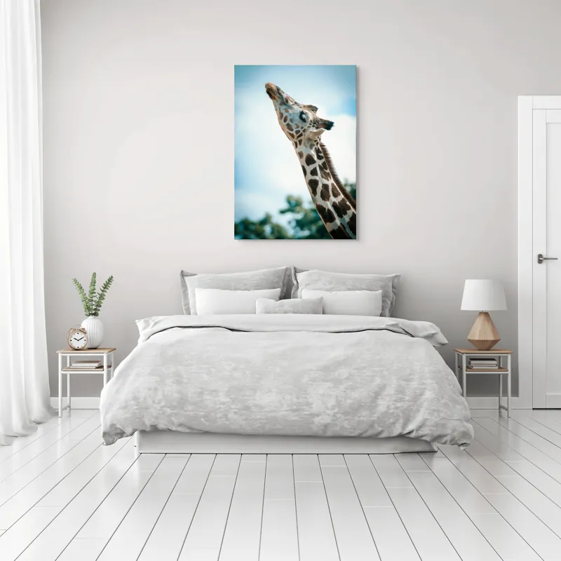 Tablou Canvas, "Girafă admirând cerul albastru", Gingășie, Eleganță, Înălțime, Majestuos, Serenitate, Natură, Cer, Pătățat, 70 x 100 cm – poza 3