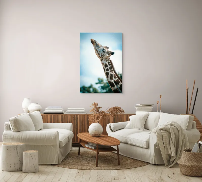 Tablou Canvas, "Girafă admirând cerul albastru", Gingășie, Eleganță, Înălțime, Majestuos, Serenitate, Natură, Cer, Pătățat, 70 x 100 cm – poza 4