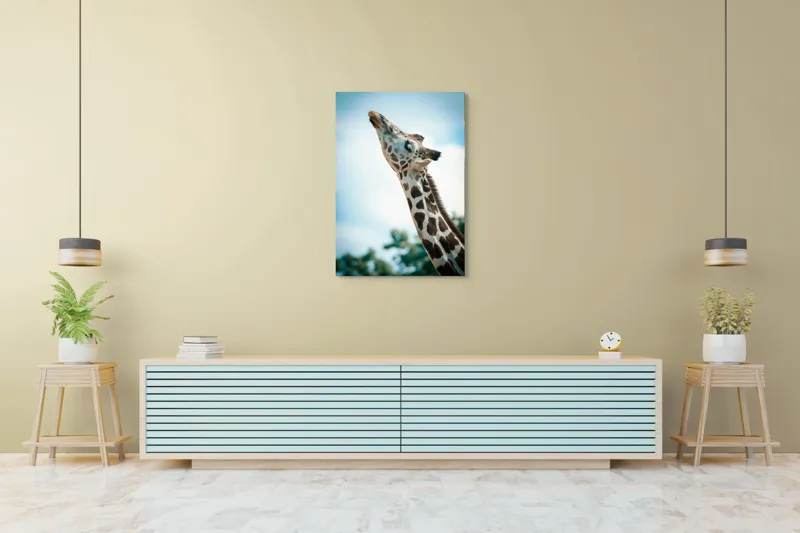 Tablou Canvas, "Girafă admirând cerul albastru", Gingășie, Eleganță, Înălțime, Majestuos, Serenitate, Natură, Cer, Pătățat, 70 x 100 cm – poza 5