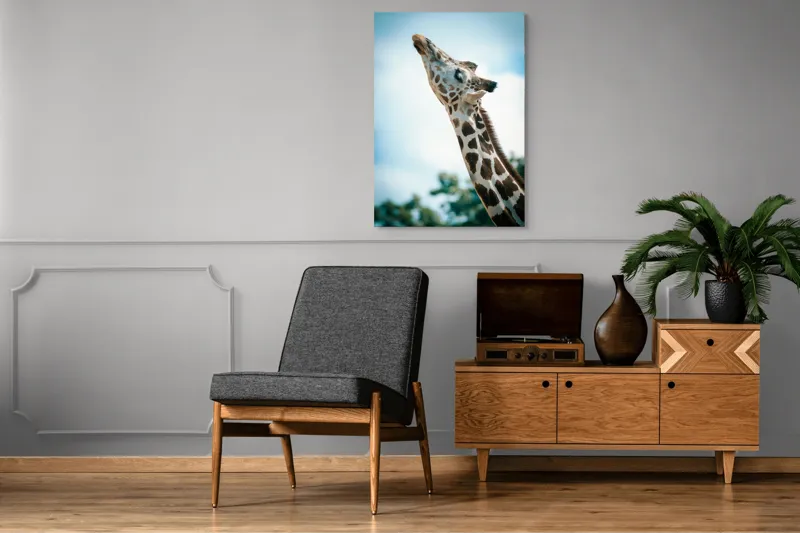 Tablou Canvas, "Girafă admirând cerul albastru", Gingășie, Eleganță, Înălțime, Majestuos, Serenitate, Natură, Cer, Pătățat, 70 x 100 cm – poza 6