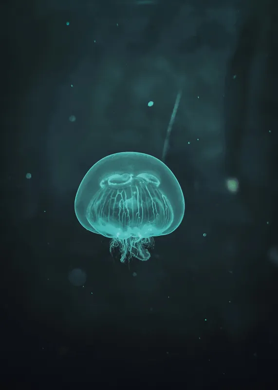 Tablou Canvas, "Meduză plutind în ocean întunecat", Mister, Luminiscență, Profunzime, Delicatețe, Fluiditate, Misterios, Etereal, Subacvatic, Calm, Frumusețe, Transparență, Singurătate, 50 x 70 cm – poza 2