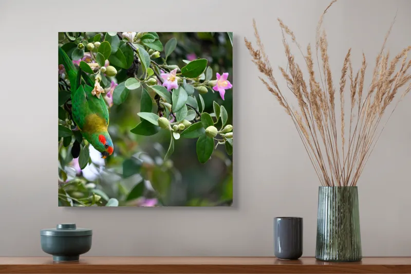 Tablou Canvas, "Papagalul ascuns printre flori roz", Verde, Papagal, Flori, Roz, Frunze, Natură, Ramuri, Frumusețe, Echilibru, Viu, 50 x 50 cm – poza 4