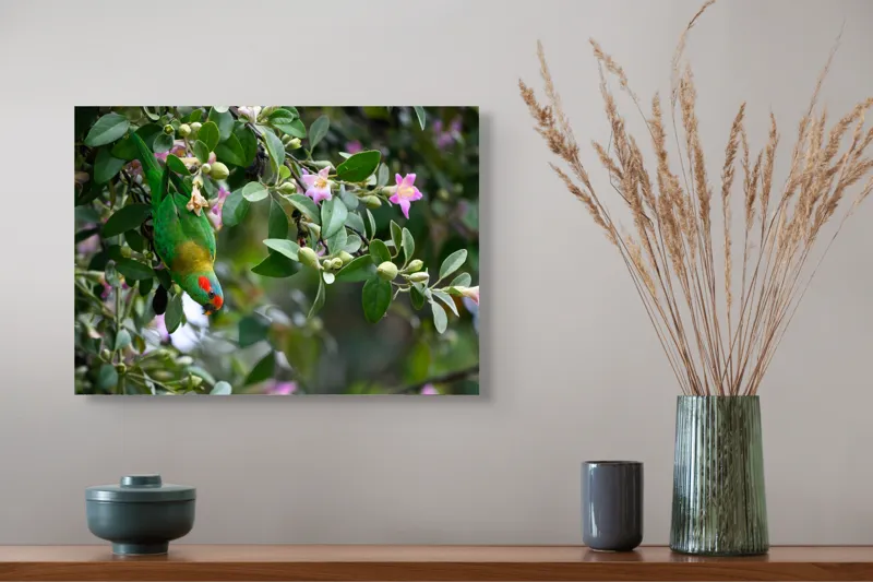 Tablou Canvas, "Papagalul ascuns printre flori roz", Verde, Papagal, Flori, Roz, Frunze, Natură, Ramuri, Frumusețe, Echilibru, Viu, 54 x 39 cm – poza 4