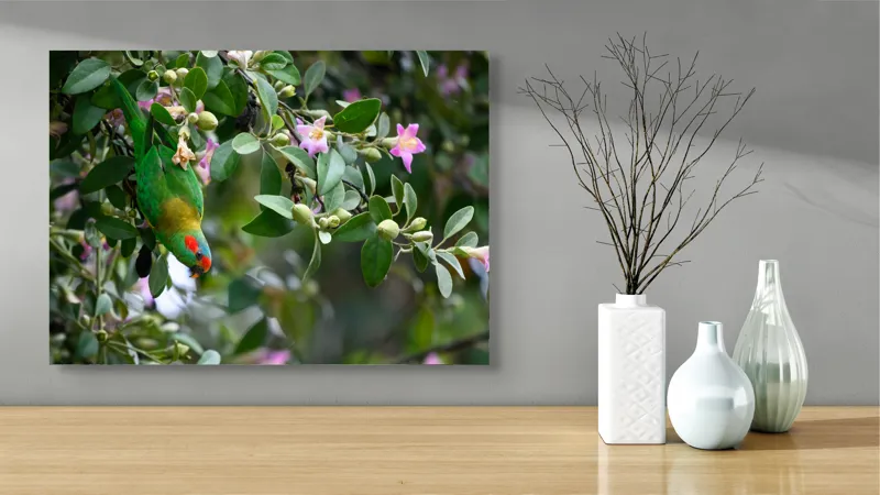 Tablou Canvas, "Papagalul ascuns printre flori roz", Verde, Papagal, Flori, Roz, Frunze, Natură, Ramuri, Frumusețe, Echilibru, Viu, 70 x 50 cm – poza 3