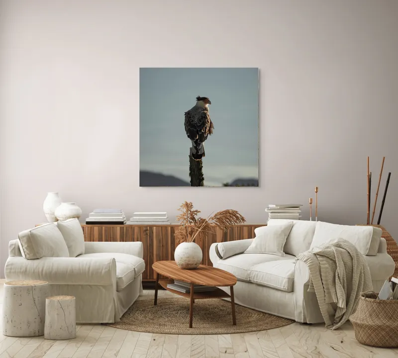 Tablou Canvas, "Cerectarul solitar pe stâlp înalt", Vultur, Stingher, Stâlp, Cer, Peisaj, Liniște, Aripi, 100 x 100 cm – poza 3