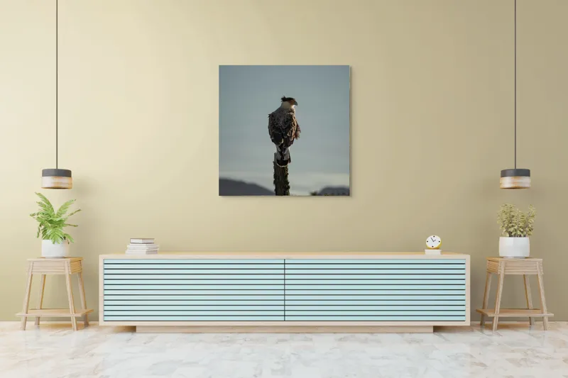 Tablou Canvas, "Cerectarul solitar pe stâlp înalt", Vultur, Stingher, Stâlp, Cer, Peisaj, Liniște, Aripi, 100 x 100 cm – poza 5