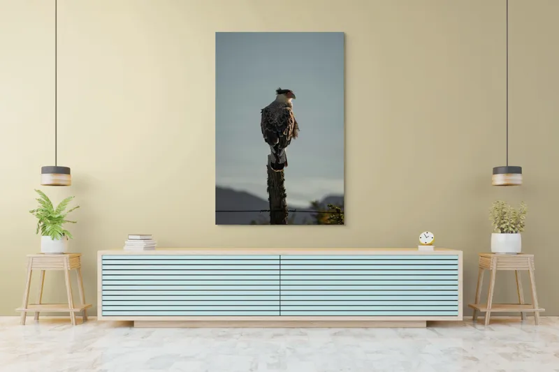 Tablou Canvas, "Cerectarul solitar pe stâlp înalt", Vultur, Stingher, Stâlp, Cer, Peisaj, Liniște, Aripi, 100 x 150 cm – poza 4
