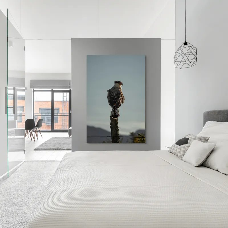 Tablou Canvas, "Cerectarul solitar pe stâlp înalt", Vultur, Stingher, Stâlp, Cer, Peisaj, Liniște, Aripi, 100 x 150 cm – poza 5