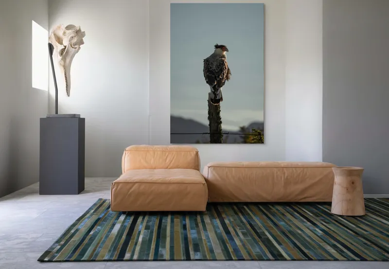 Tablou Canvas, "Cerectarul solitar pe stâlp înalt", Vultur, Stingher, Stâlp, Cer, Peisaj, Liniște, Aripi, 100 x 150 cm – poza 7