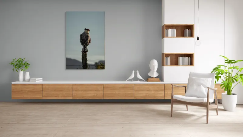 Tablou Canvas, "Cerectarul solitar pe stâlp înalt", Vultur, Stingher, Stâlp, Cer, Peisaj, Liniște, Aripi, 100 x 150 cm – poza 8
