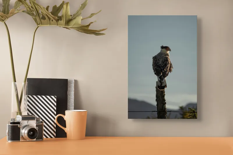 Tablou Canvas, "Cerectarul solitar pe stâlp înalt", Vultur, Stingher, Stâlp, Cer, Peisaj, Liniște, Aripi, 26 x 39 cm – poza 3