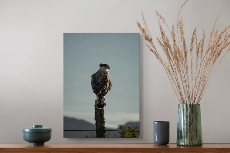 Tablou Canvas, "Cerectarul solitar pe stâlp înalt", Vultur, Stingher, Stâlp, Cer, Peisaj, Liniște, Aripi, 39 x 54 cm – poza 3