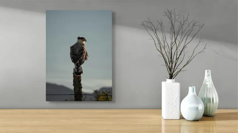 Tablou Canvas, "Cerectarul solitar pe stâlp înalt", Vultur, Stingher, Stâlp, Cer, Peisaj, Liniște, Aripi, 39 x 54 cm – poza 4
