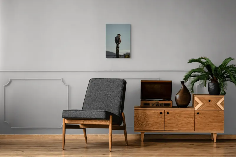 Tablou Canvas, "Cerectarul solitar pe stâlp înalt", Vultur, Stingher, Stâlp, Cer, Peisaj, Liniște, Aripi, 39 x 54 cm – poza 8