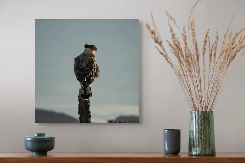 Tablou Canvas, "Cerectarul solitar pe stâlp înalt", Vultur, Stingher, Stâlp, Cer, Peisaj, Liniște, Aripi, 50 x 50 cm – poza 4