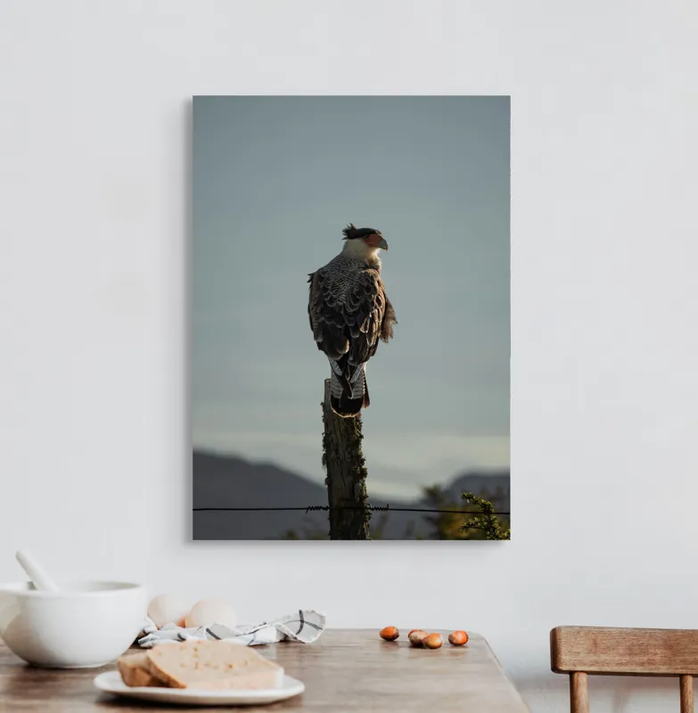 Tablou Canvas, "Cerectarul solitar pe stâlp înalt", Vultur, Stingher, Stâlp, Cer, Peisaj, Liniște, Aripi, 50 x 70 cm – poza 3