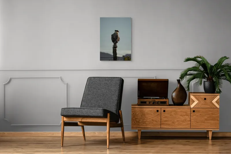 Tablou Canvas, "Cerectarul solitar pe stâlp înalt", Vultur, Stingher, Stâlp, Cer, Peisaj, Liniște, Aripi, 50 x 70 cm – poza 8