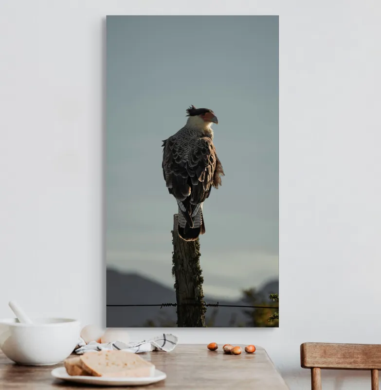 Tablou Canvas, "Cerectarul solitar pe stâlp înalt", Vultur, Stingher, Stâlp, Cer, Peisaj, Liniște, Aripi, 50 x 90 cm – poza 3