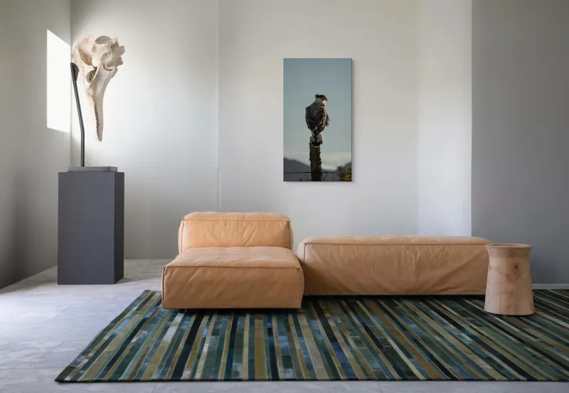 Tablou Canvas, "Cerectarul solitar pe stâlp înalt", Vultur, Stingher, Stâlp, Cer, Peisaj, Liniște, Aripi, 50 x 90 cm – poza 5