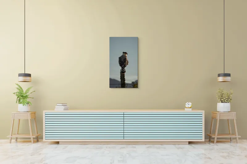 Tablou Canvas, "Cerectarul solitar pe stâlp înalt", Vultur, Stingher, Stâlp, Cer, Peisaj, Liniște, Aripi, 50 x 90 cm – poza 6