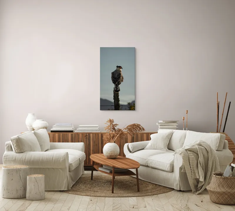 Tablou Canvas, "Cerectarul solitar pe stâlp înalt", Vultur, Stingher, Stâlp, Cer, Peisaj, Liniște, Aripi, 50 x 90 cm – poza 7
