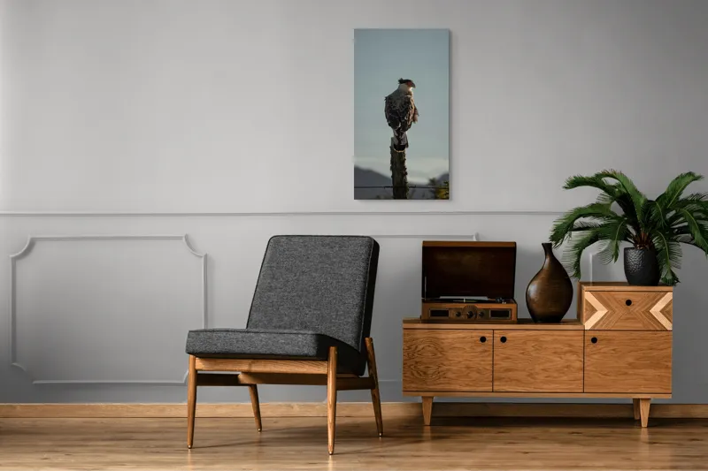 Tablou Canvas, "Cerectarul solitar pe stâlp înalt", Vultur, Stingher, Stâlp, Cer, Peisaj, Liniște, Aripi, 50 x 90 cm – poza 8