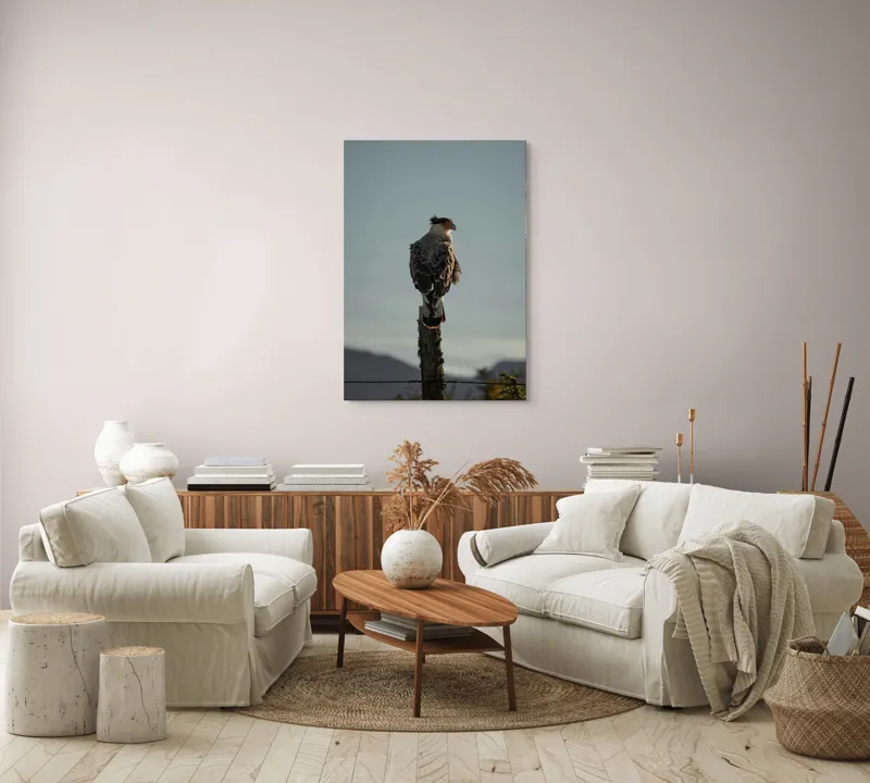 Tablou Canvas, "Cerectarul solitar pe stâlp înalt", Vultur, Stingher, Stâlp, Cer, Peisaj, Liniște, Aripi, 70 x 100 cm – poza 4