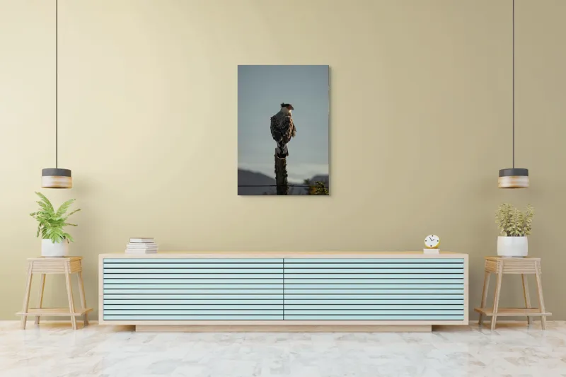 Tablou Canvas, "Cerectarul solitar pe stâlp înalt", Vultur, Stingher, Stâlp, Cer, Peisaj, Liniște, Aripi, 70 x 100 cm – poza 5