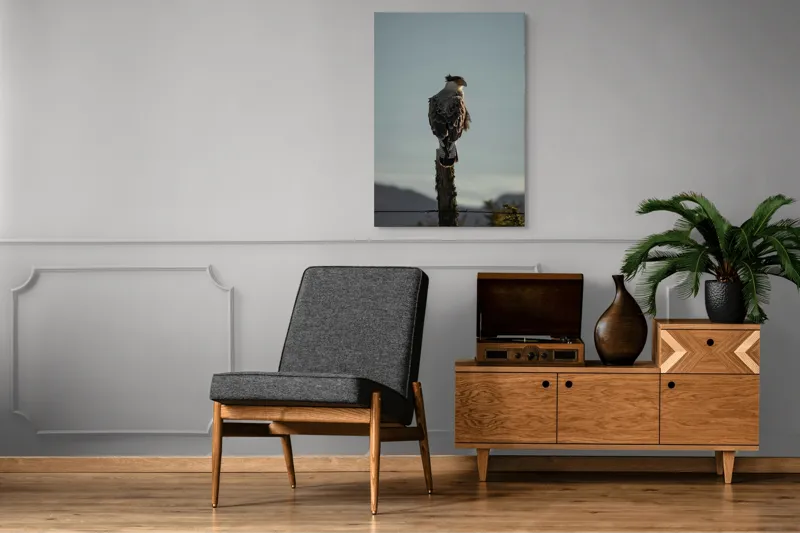 Tablou Canvas, "Cerectarul solitar pe stâlp înalt", Vultur, Stingher, Stâlp, Cer, Peisaj, Liniște, Aripi, 70 x 100 cm – poza 6