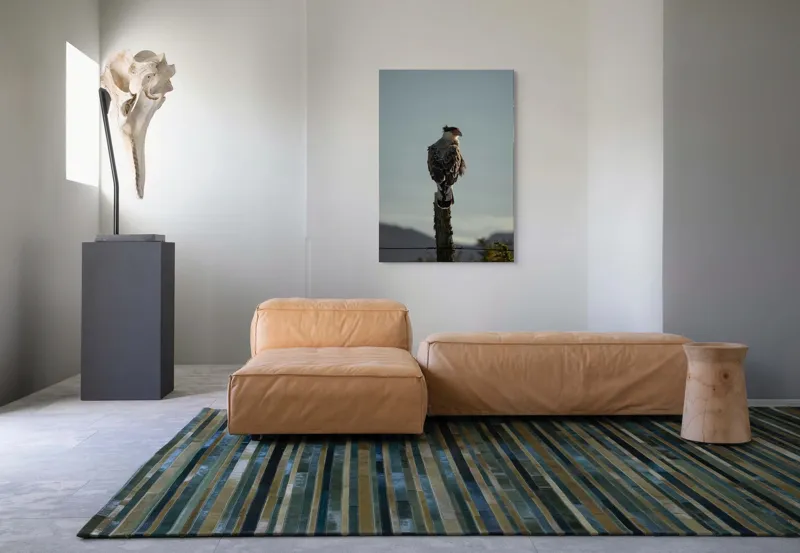 Tablou Canvas, "Cerectarul solitar pe stâlp înalt", Vultur, Stingher, Stâlp, Cer, Peisaj, Liniște, Aripi, 70 x 100 cm – poza 7