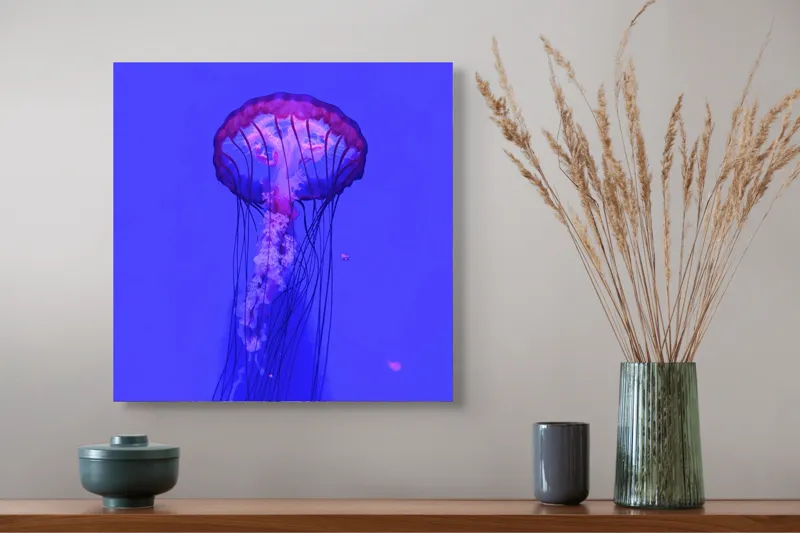 Tablou Canvas, "Meduză plutind în lumină albastră", Meduză, Strălucire, Albastru, Ocean, Grație, Tentacule, Mister, Lumina, Frumusețe., 50 x 50 cm – poza 4