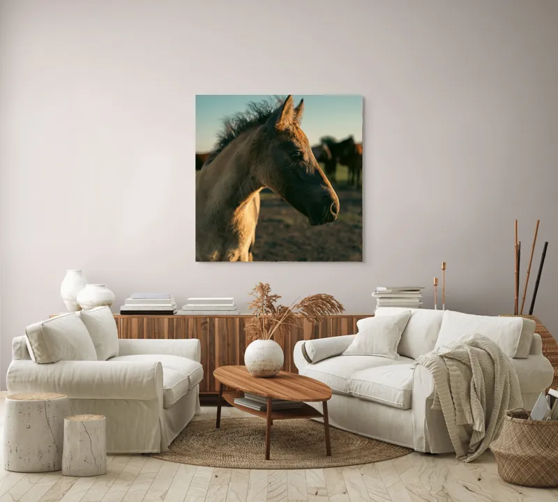 Tablou Canvas, "Mânzul sub cerul senin", Cal, Mânz, Apus, Câmpie, Umbră, Blană, Cer, Natură, Tranquilitate, 100 x 100 cm – poza 3