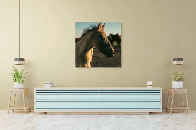 Tablou Canvas, "Mânzul sub cerul senin", Cal, Mânz, Apus, Câmpie, Umbră, Blană, Cer, Natură, Tranquilitate, 100 x 100 cm – poza 5