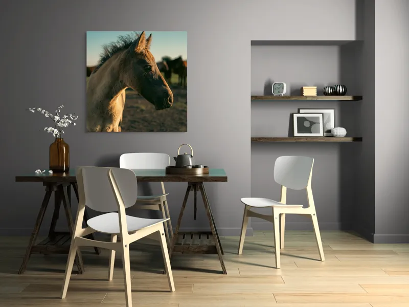 Tablou Canvas, "Mânzul sub cerul senin", Cal, Mânz, Apus, Câmpie, Umbră, Blană, Cer, Natură, Tranquilitate, 100 x 100 cm – poza 6